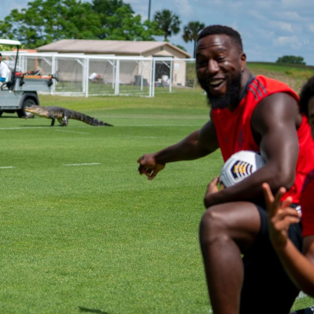 Toronto Fc e alligatore