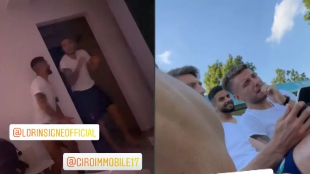 insigne immobile