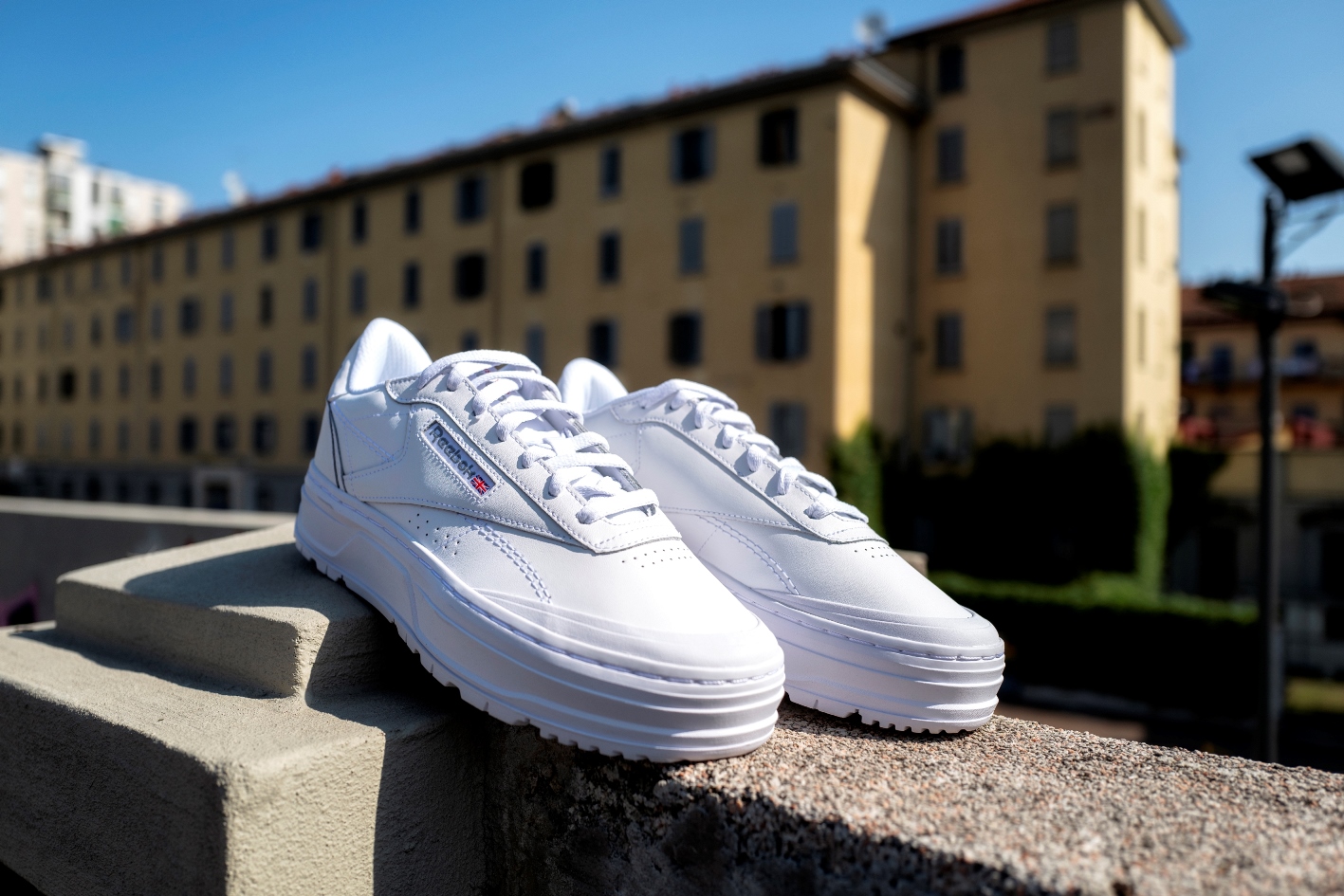 Aw Lab Reebok Online Hotsell, UP TO 69% OFF | agrichembio.com