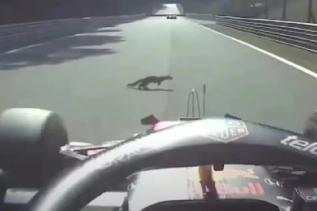 Verstappen