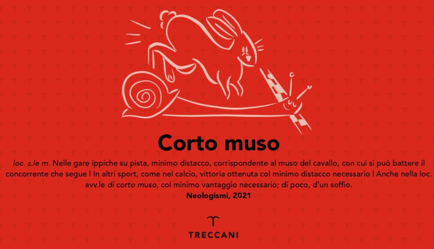 Corto muso