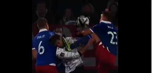 goretzka