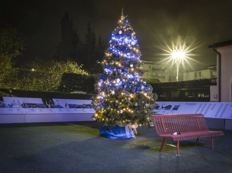 L'albero dei bambini al Museo del Calcio