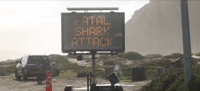 fatal shark attack