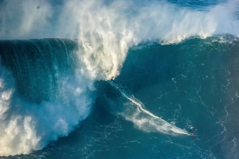 Surf