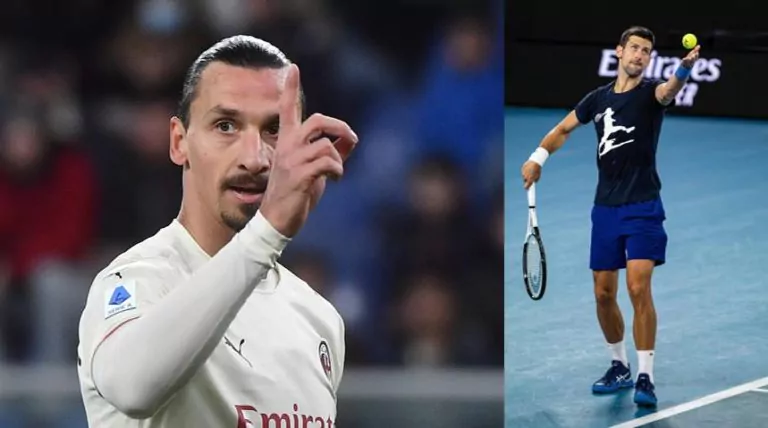 ibrahimovic djokovic