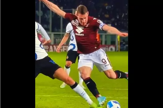 belotti ranocchia