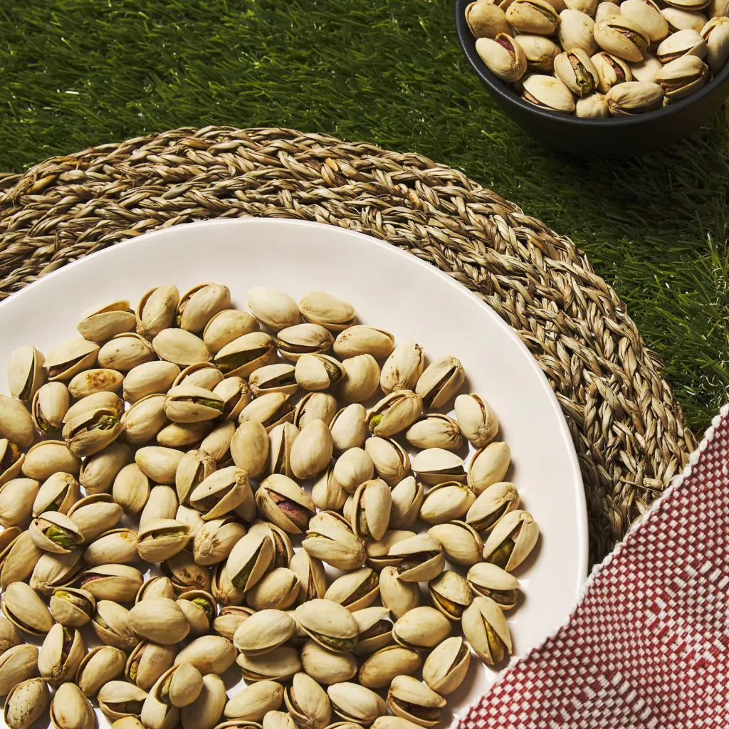 American Pistachio Growers_picnic