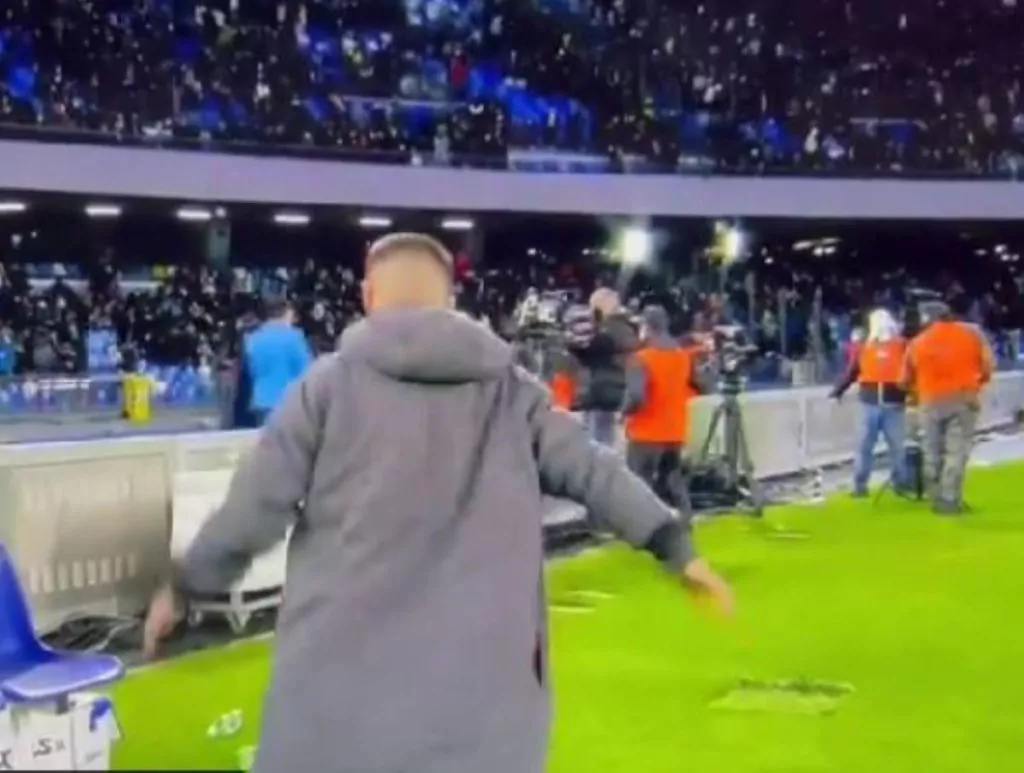Insigne
