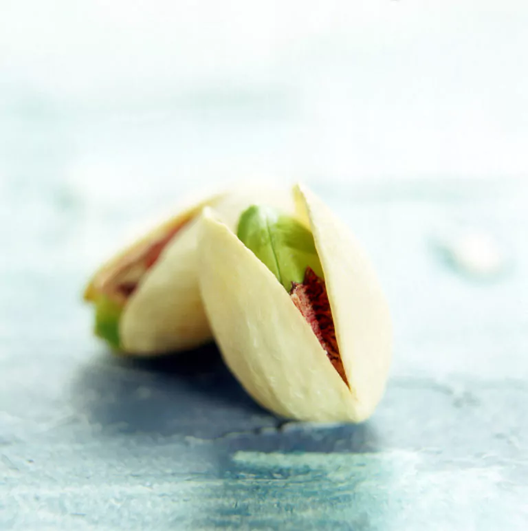 pistacchi