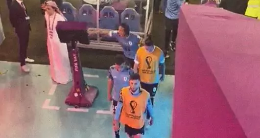 cavani