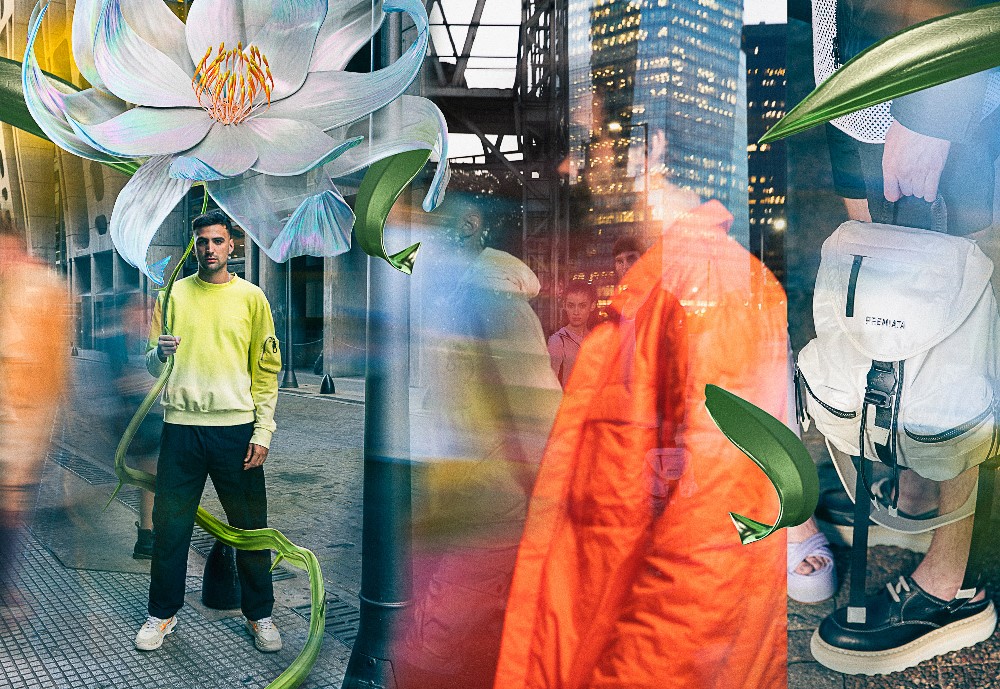 nuova collezione premiata