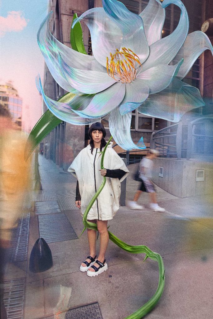 nuova collezione premiata