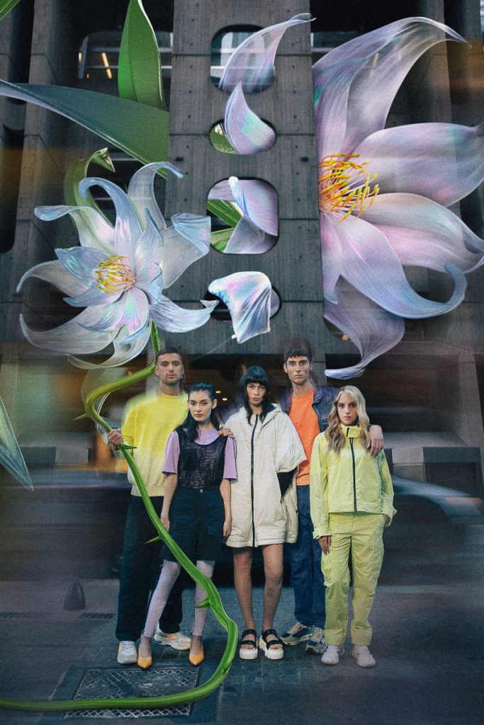 nuova collezione premiata