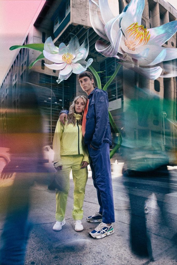 nuova collezione premiata