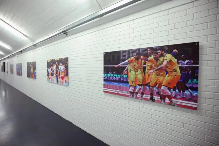 Mostra Since 1966 PalaPanini