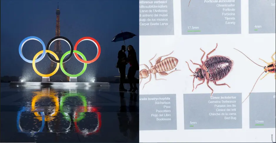 parigi 2024 cimici