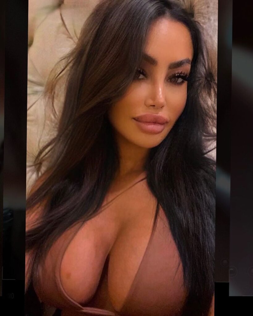 tabby brown