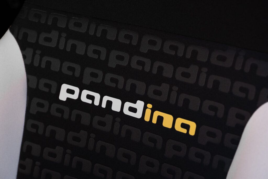 FiatPandina