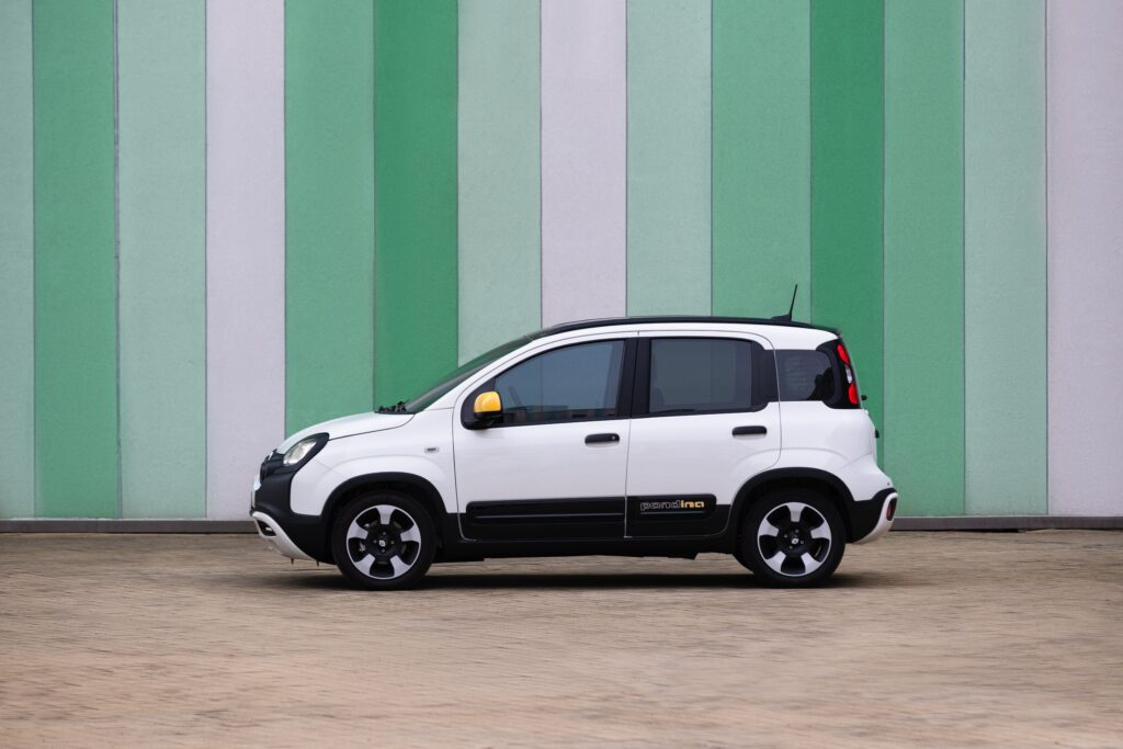 FiatPandina