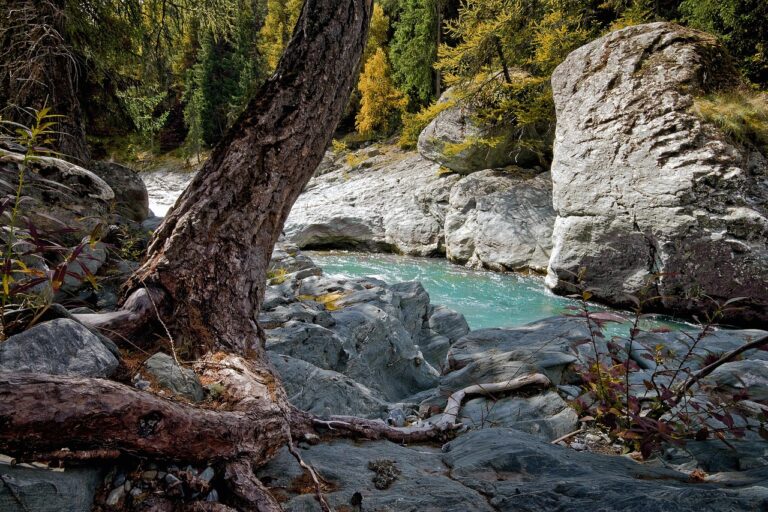 fiume
